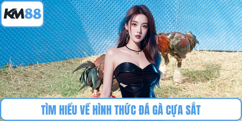 Đá Gà Cựa Sắt